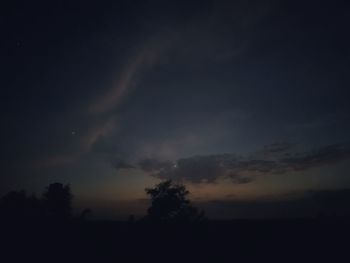Low angle view of silhouette trees against sky at night