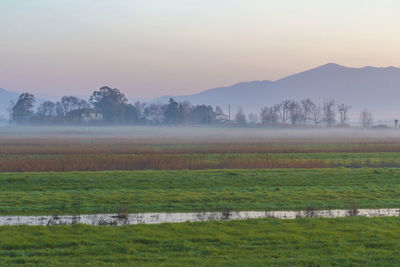 Scenic view of agricultural field against sky during foggy weather