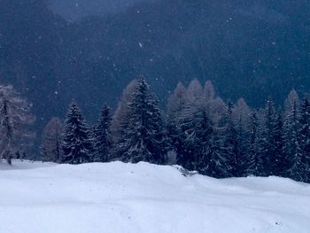 Snow covered trees in forest against sky