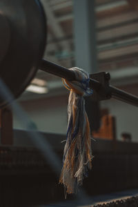 Close-up of strings tied on rod