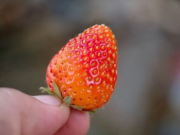 Close-up of hand holding strawberry