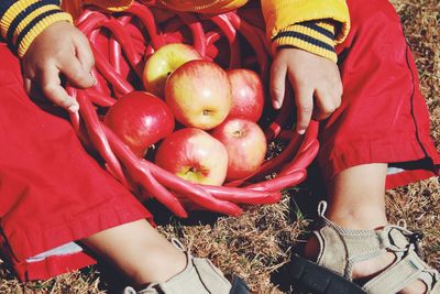 Low section of child with fresh apples sitting on field