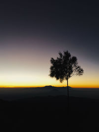 Silhouette trees on landscape against sky during sunset