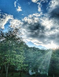 Scenic view of forest against sky