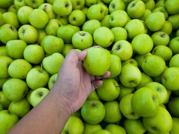 Close-up of green hand holding fruits