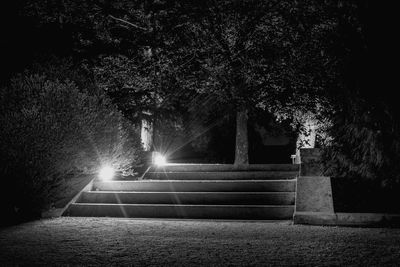 View of illuminated trees at night