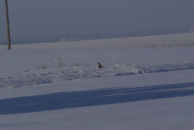 Scenic view of frozen landscape against sky during winter