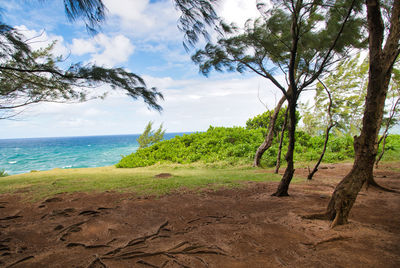 Scenic view of sea against sky