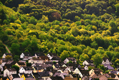 High angle view of townscape and trees in town