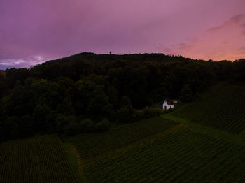 Scenic view of agricultural field against sky at sunset