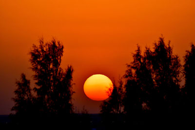 Silhouette trees against orange sky during sunset