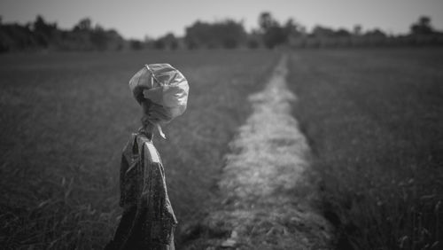 Scarecrow on field