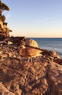 Rock formation on beach against sky