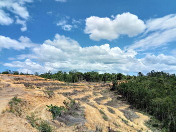 Scenic view of field against sky