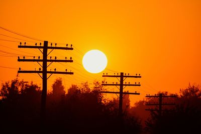 Low angle view of silhouette trees against orange sky