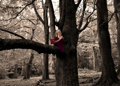 Full length of girl reading book while sitting on tree in forest