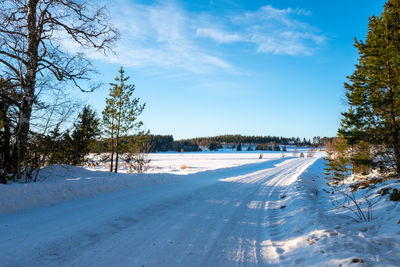 Trees on snow covered land against sky