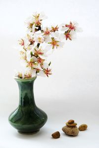 White flowers in vase and stones on white background
