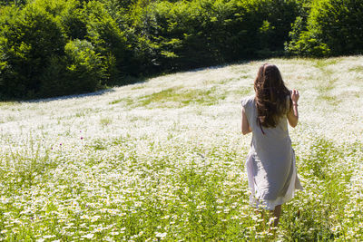 Women with dress in field of daisy flowers during sunlight