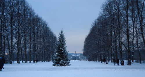 Bare trees on snow covered landscape against sky