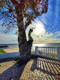 Man standing on footpath by sea against sky