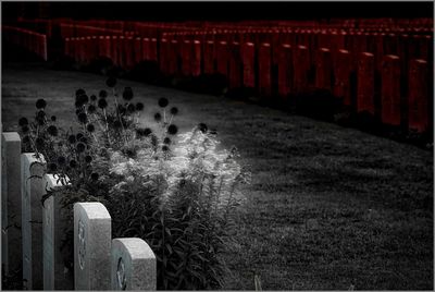 Panoramic view of illuminated landscape at night