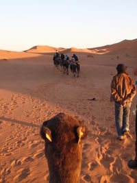 Man standing on sand dune in desert