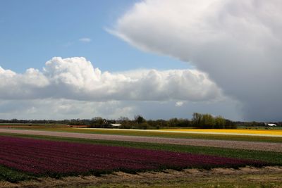 Scenic view of field against cloudy sky