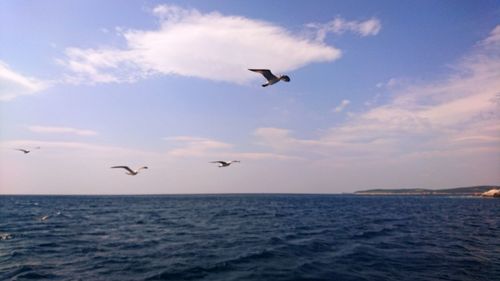 Seagulls flying over sea against sky