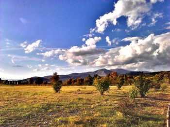 Scenic view of landscape against cloudy sky