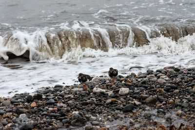 Scenic view of sea waves