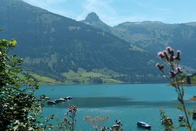 Scenic view of bay against mountains