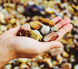 Close-up of hand holding stones