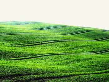 Scenic view of rural landscape