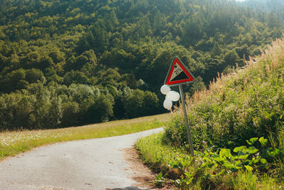 Road amidst trees and plants