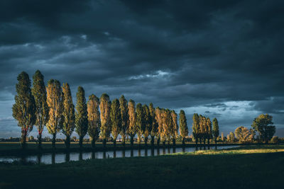 Panoramic shot of trees on field against storm clouds