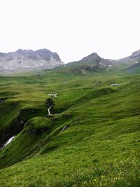 Scenic view of green landscape against clear sky