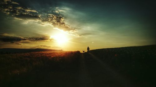 Scenic view of landscape at sunset