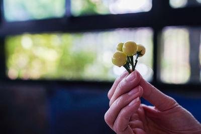 Close-up of hand holding bouquet