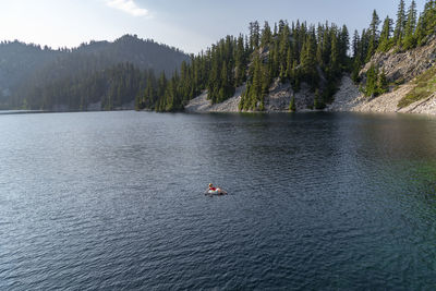 Scenic view of lake against trees