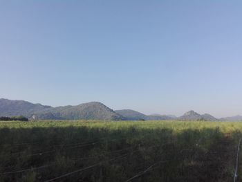 Scenic view of field against clear sky