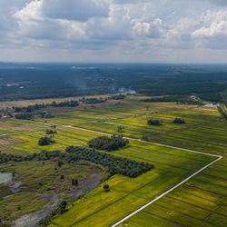 High angle view of agricultural field against sky