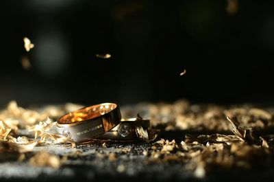 Close-up of crab