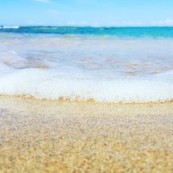 Close-up of beach against sky