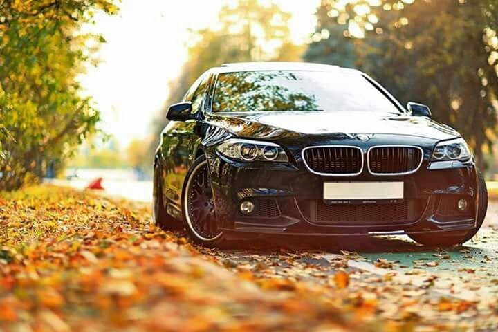 transportation, mode of transport, land vehicle, car, surface level, close-up, focus on foreground, selective focus, street, field, road, stationary, tree, outdoors, part of, travel, day, nature, no people, cropped