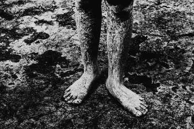 Low section of person standing on tree trunk