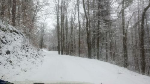 Snow covered road amidst trees in forest