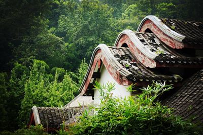 Built structure with trees in background