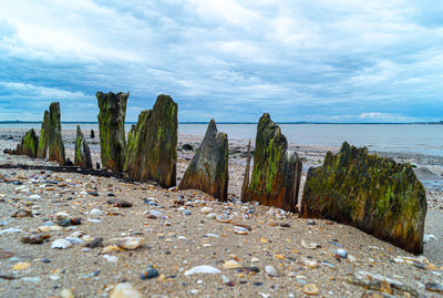 Scenic view of beach against sky