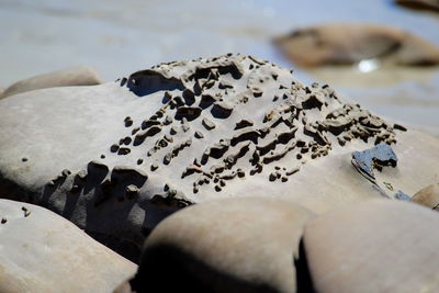 Close-up of human hand